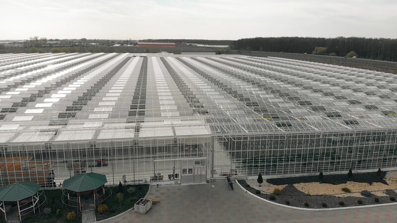 О компании - 1