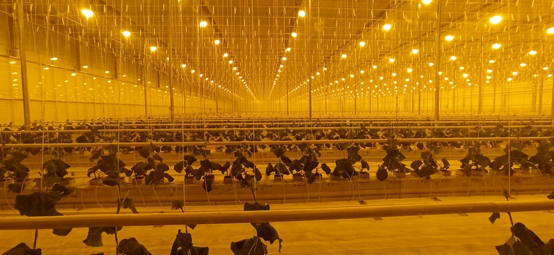 О компании - 2