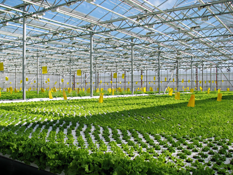 География партнёрства - 1