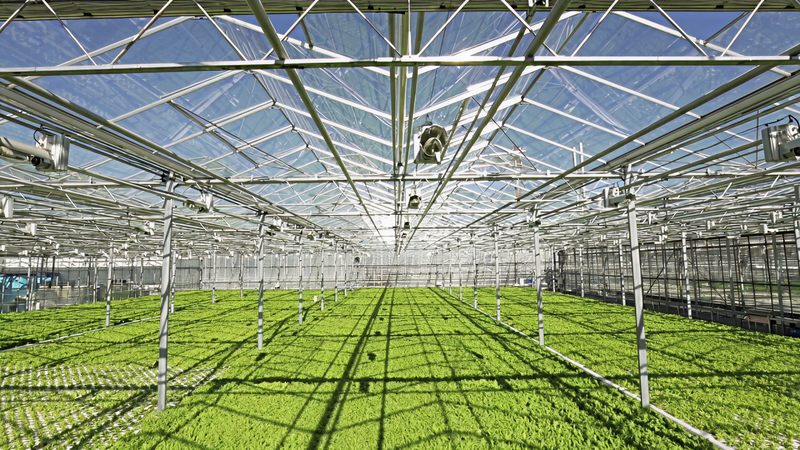 География партнёрства - 2