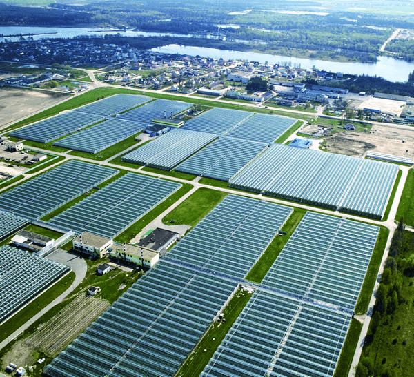 Сертификат соответствия СТБ ISO 9001-2015