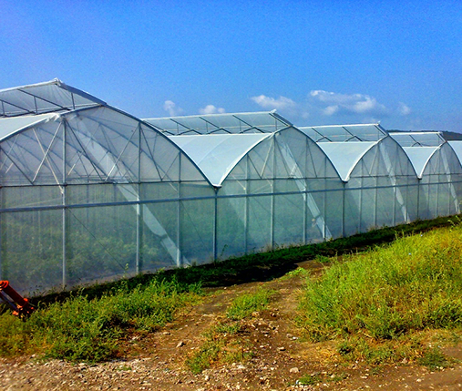 Корректировка проектов 